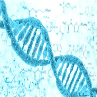 分子生物学(Molecular Biology)