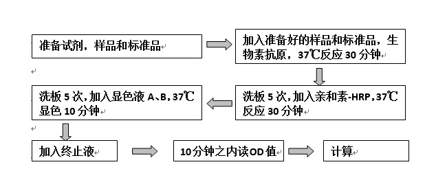 无标题.jpg